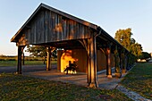 France,Gironde,Arsac-en-Médoc,winery that now houses an impressive collection of works of art