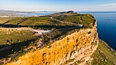 Frankreich,Bouches du Rhone,Cassis,Calanques-Nationalpark,das Cap Canaille, die höchste maritime Klippe Europas zwischen La Ciotat und Cassis (Luftaufnahme)