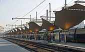 France,Paris,train platforms of Lyon station