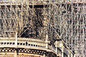 France,Paris,area listed as World heritage by UNESCO,Ile de la Cite,Notre Dame Cathedral,Scaffolding