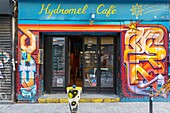 Frankreich,Paris,Straßenkunst,Graffitis und Wandmalereien in der Rue Denoyez,das Hydromel Cafe