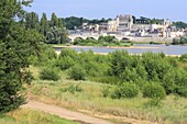 France,Indre et Loire,Loire Valley listed as World Heritage by UNESCO,Amboise,the village and its castle