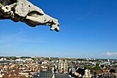 France,Cote d'Or,Dijon,area listed as World Heritage by UNESCO,church Saint Michel viewed from the tower Philippe le Bon (Philip the Good) of the Palace of the Dukes of Burgundy