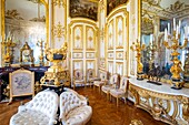 Frankreich,Oise,Chantilly,das Schloss von Chantilly,das Museum von Conde,das Kabinett von Monsieur le Prince
