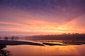 Frankreich,Indre et Loire,Loire-Tal,von der UNESCO zum Weltkulturerbe erklärt,die Ufer der Loire