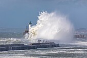 France,Pas de Calais,Boulogne sur Mer,Carnot dike and the lighthouse during the storm Miguel