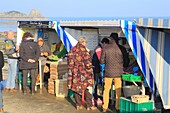 Frankreich,Ille et Vilaine,Smaragdküste,Cancale,Austernmarkt an der Strandpromenade