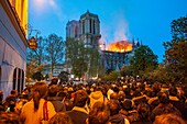 Frankreich,Paris,von der UNESCO zum Weltkulturerbe erklärtes Gebiet,Ile de la Cite,Kathedrale Notre Dame de Paris,Brand, der die Kathedrale am 15. April 2019 verwüstet hat