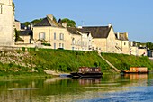 Frankreich,Maine et Loire,Loire-Tal, von der UNESCO zum Weltkulturerbe erklärt, Dorf Montsoreau