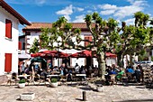 France,Pyrenees Atlantiques,Basque country,Saint Etienne de Baigorry,bar