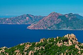 France,Corse du Sud,Gulf of Porto,listed as World Heritage by UNESCO,Piana shores with pink granite rocks,Capo Senino and the Scandola peninsula Nature Reserve in the background