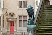 France,Meurthe et Moselle,Nancy,old town,sculpture of a lion on the stairs of Saint Epvre basilica and facade of a house