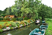 France,Somme,Amiens,the Hortillonnages are old marshes filled to create a mosaic of floating gardens surrounded by canals