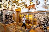 France,Paris,Marais district,the museum of Hunting and Nature