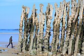 France,Ille et Vilaine,Emerald Coast,Saint Malo,Sillon beach with its wooden breakwaters