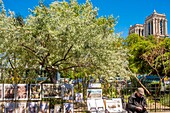 France,Paris,Saint Michel district,rue de la Bucherie and Notre Dame de Paris