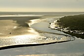 France,Somme,Baie de Somme,Saint Valery sur Somme,mouth of the Somme Bay at low tide