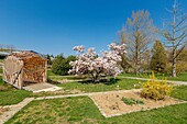 France,Meurthe et Moselle,Villers les Nancy,Sainte Valerie chapel and the Alpinum in Jean Marie Pelt botanical garden overlooking the town of Nancy