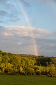 France,Jura,Arbois,rainbow after the storm on the trays intended for breeding