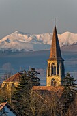 Frankreich,Puy de Dome,Billom,Kirche Saint Loup,Regionaler Naturpark Livradois Forez,Parc naturel régional Livradois Forez