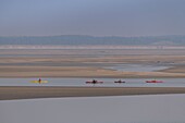 France,Somme,Baie de Somme,Le Hourdel,Indonesian canoes and canoe kayak during high tides,the boats come to wait for the flow and the tidal bore at the entrance of the bay and then go up helped by the strong current,sometimes accompanied by the seals,some fail their boat on the sandbanks to watch the birds dislodged by the tide