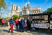 Frankreich,Paris,von der UNESCO zum Weltkulturerbe erklärtes Gebiet,Ile de la Cite,Kathedrale Notre-Dame