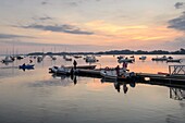 France,Morbihan,Sarzeau,the port of Logeo at sunrise