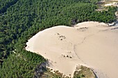 Frankreich,Gironde,Bassin d'Arcachon,Landes Forest,Dune du Pilat (die große Düne von Pyla) (Luftaufnahme)