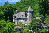 France,Cantal,Regional Natural Park of the Auvergne Volcanoes,monts du Cantal,Cantal mounts,Saint Simon,Oyez castle