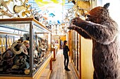 Frankreich,Paris,Marais-Viertel,das Museum der Jagd und der Natur