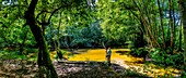 Frankreich,Gironde,Val de L'Eyre,Parc Naturel Régional des Landes de Gascogne,Fluss Leyre