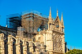 France,Paris,area listed as World heritage by UNESCO,Ile de la Cite,Notre Dame Cathedral,Scaffolding