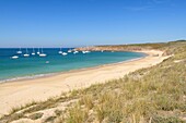 France,Morbihan,Houat,Southeast coast,the beach of Treac'h Salus