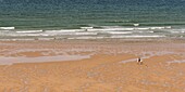 France,Pas de Calais,Opal Coast,Grand Site of the two Caps,Escalles,Cap Blanc nez,rider on the beach