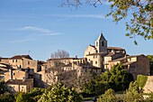 France,Vaucluse,regional natural reserve of Luberon,Saignon,the village,the church Notre-Dame of Pity or Saint-Marie de Saignon of the XIIe century