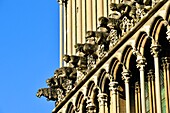 France,Cote d'Or,Dijon,area listed as World Heritage by UNESCO,Notre Dame Church,gargoyles