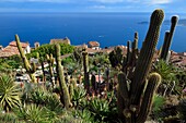 France,Alpes Maritimes,the hilltop village of Eze and its Exotic Garden