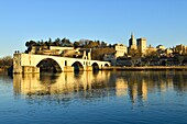 Frankreich,Vaucluse,Avignon,Saint Benezet Brücke über die Rhone aus dem 12. Jahrhundert mit im Hintergrund die Kathedrale von Doms aus dem 12. Jahrhundert und der Papstpalast, der zum UNESCO-Welterbe gehört