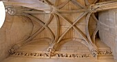 Frankreich,Cote d'Or,Dijon,von der UNESCO zum Weltkulturerbe erklärtes Gebiet,Palast der Herzöge von Burgund,der Turm von Philippe le Bon,Innentreppe