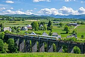 France,Cantal,Regional Natural Park of the Auvergne Volcanoes,monts du Cantal (Cantal mounts),vallee de Cheylade (Cheylade valley),Gentiane Express touristic train in Lugarde village