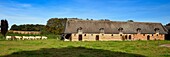 France,Seine-Maritime,Pays de Caux,Harcanville,clos masure,a typical farm of Normandy,called La Bataille,former sheep barn converted into a cowshed