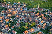 France,Haut Rhin,Alsace wine road,Hattstatt (aerial view)