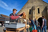 France,Calvados,Pays d'Auge,Saint Pierre sur Dives,market day in front of the 11th century covered market rebuilt in the 15th century,the breeder Pierre-Alain sells his rabbits alive