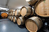 Frankreich,Pyrenees Atlantiques,Baskenland,Region Saint Etienne de Baigorry,Weingut Irouleguy,Baskischer Wein