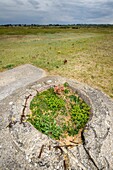 Frankreich,Morbihan,Plouharnel,Überreste eines Bunkers an der Küste von Sainte-Barbe unter einem stürmischen Himmel