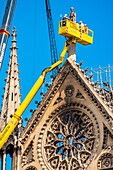 France,Paris,area listed as World Heritage by UNESCO,Ile de la Cite,Notre Dame de Paris,consolidation works after the fire of the roof