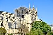 France,Paris,the banks of the Seine river listed as World Heritage by UNESCO,Ile de la Cite,Notre Dame Cathedral after the fire of the 15th April 2019