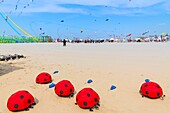 Frankreich,Pas de Calais,Opale-Küste,Berck sur Mer,Berck sur Mer International Kite Meetings,9 Tage lang empfängt die Stadt 500 Drachen aus aller Welt zu einem der wichtigsten Kite-Events der Welt