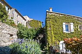 Frankreich,Vaucluse,Regionales Naturschutzgebiet Luberon,Saignon