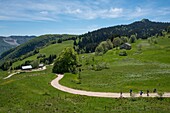 Frankreich,Jura,la Pesse,Standort der Grenze zu den Löwen und des Crêt de Chalam